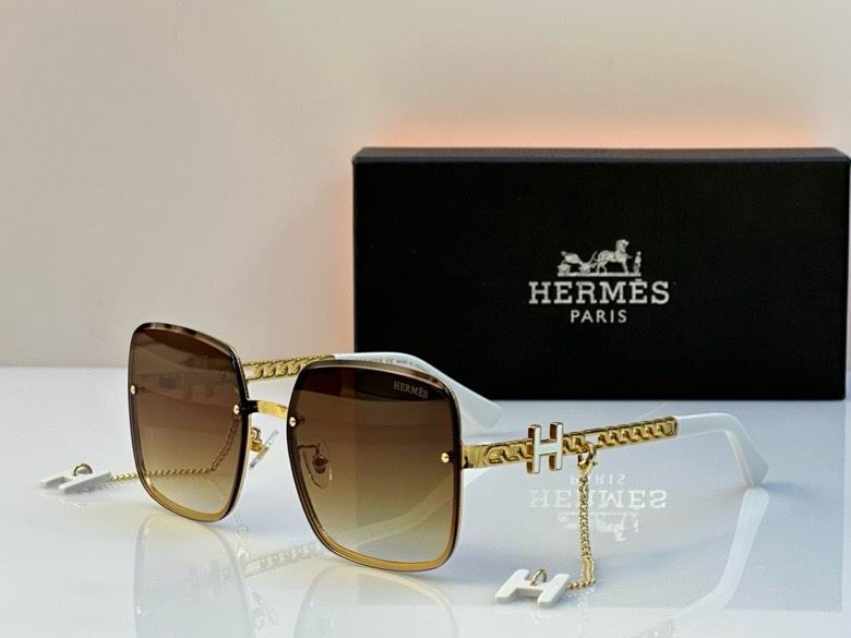 Hermes Glasses (10)